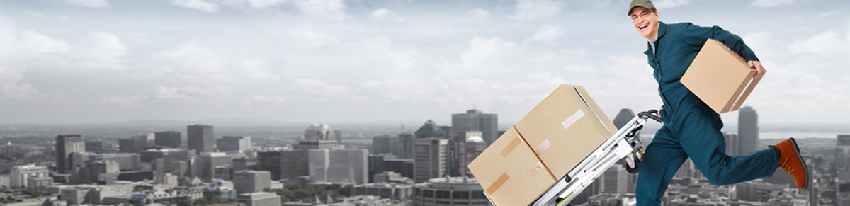 Flashnet Versandhandel